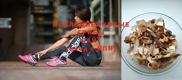 кокаин перу Богданович