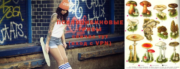 таблы Богородск