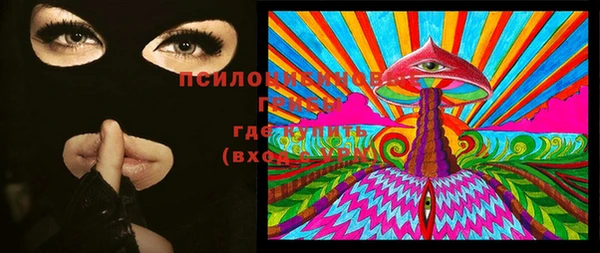 таблы Богородск